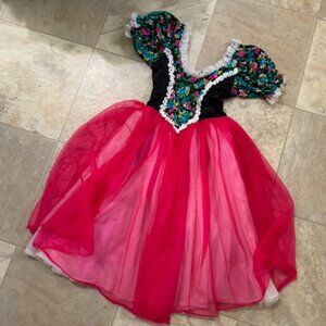 costume dress / dance leotard dress    USED